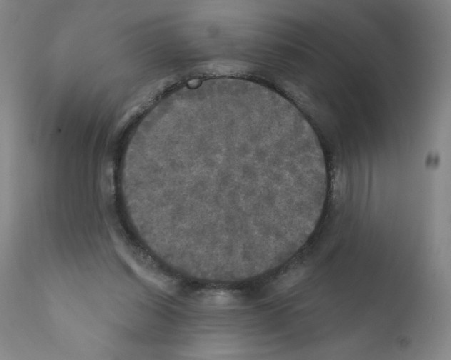 X0000111480254200908251008