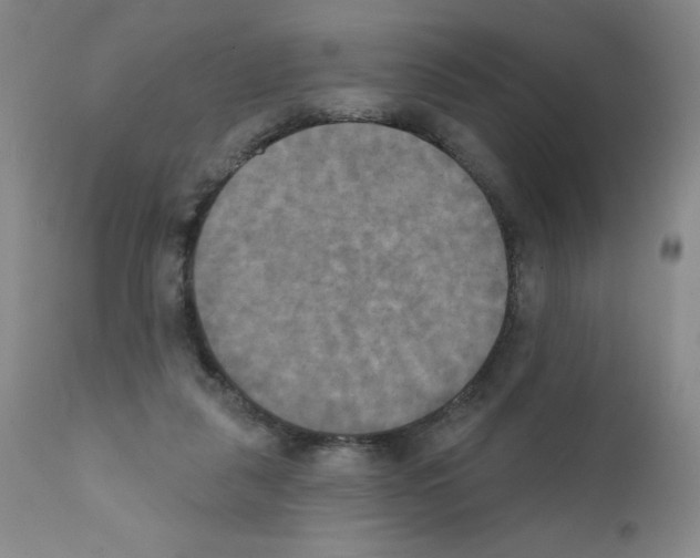 X0000111480259200908251008