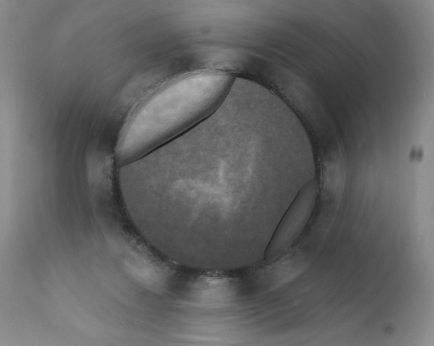 X0000111480260200908251008