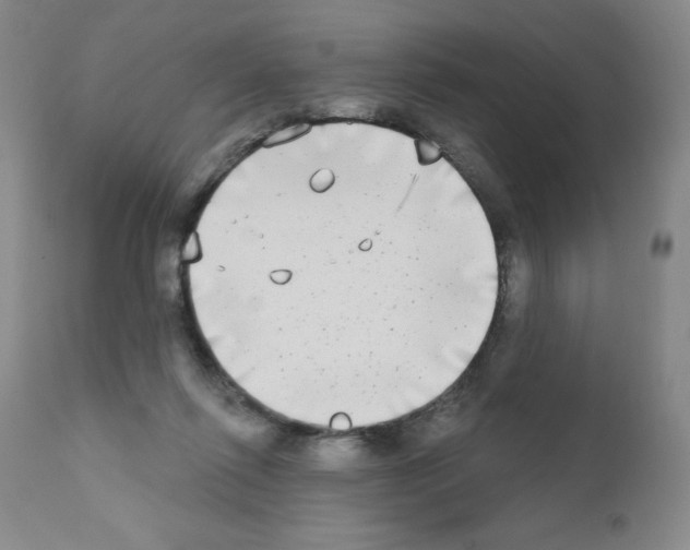 X0000111480262200908251008