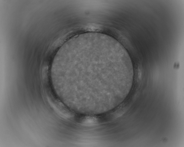 X0000111480263200908251008