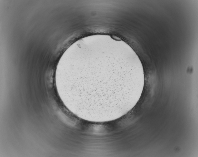 X0000111480264200908251008