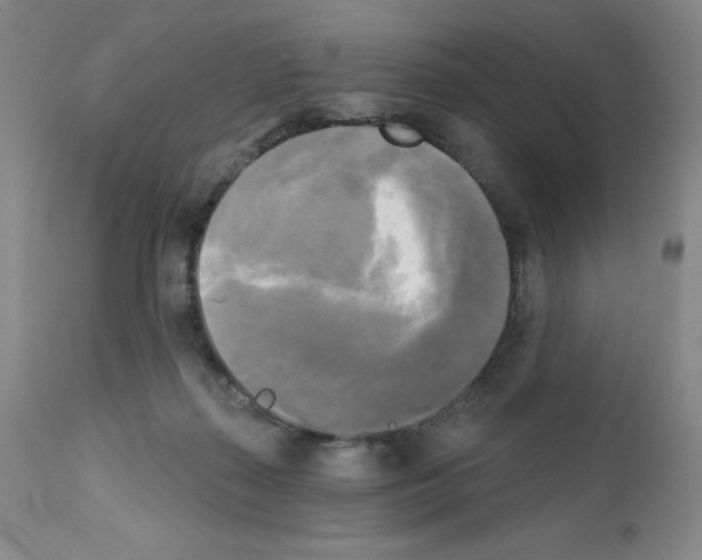 X0000111480267200908251008