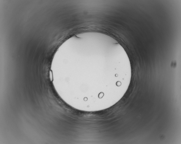X0000111480268200908251008