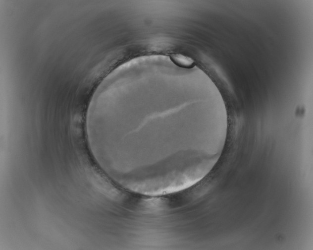 X0000111480269200908251008