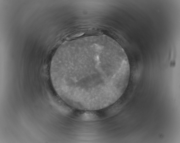 X0000111480270200908251008