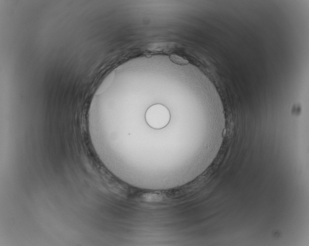 X0000111480272200908251008