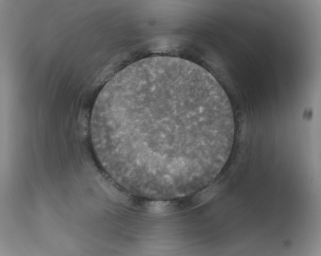 X0000111480273200908251008