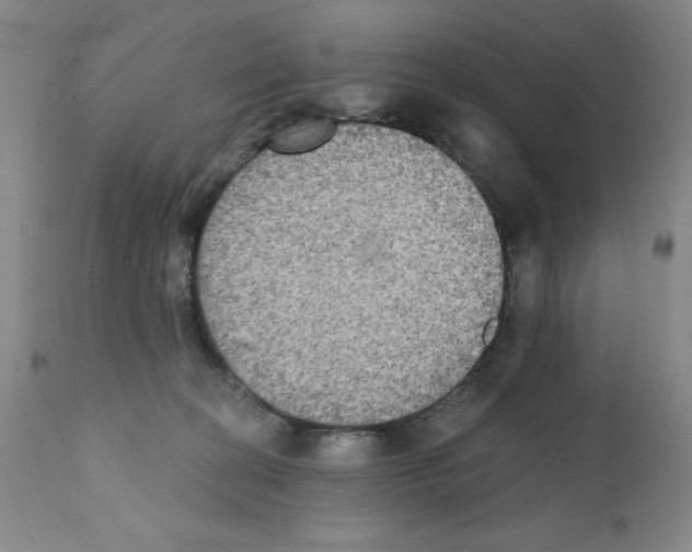 X0000111480274200908251008