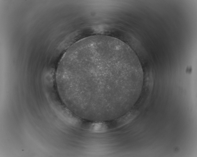 X0000111480275200908251008