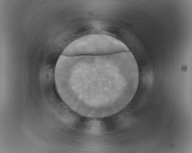 X0000111480276200908251008