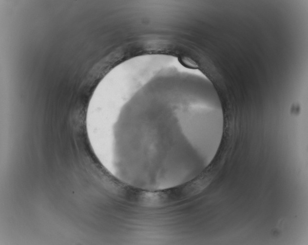 X0000111480277200908251008