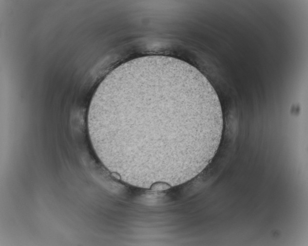 X0000111480278200908251009