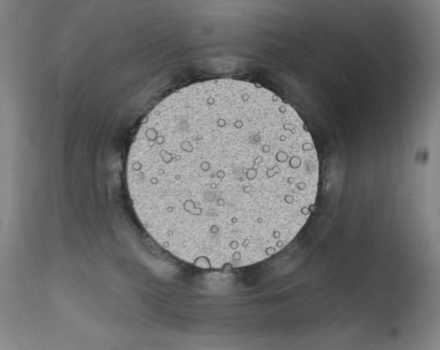 X0000111480279200908251009