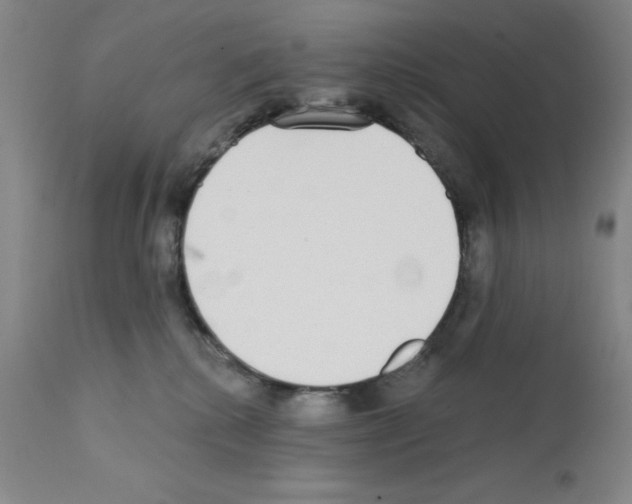 X0000111480280200908251009