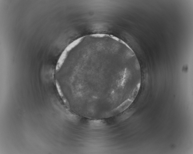 X0000111480281200908251009