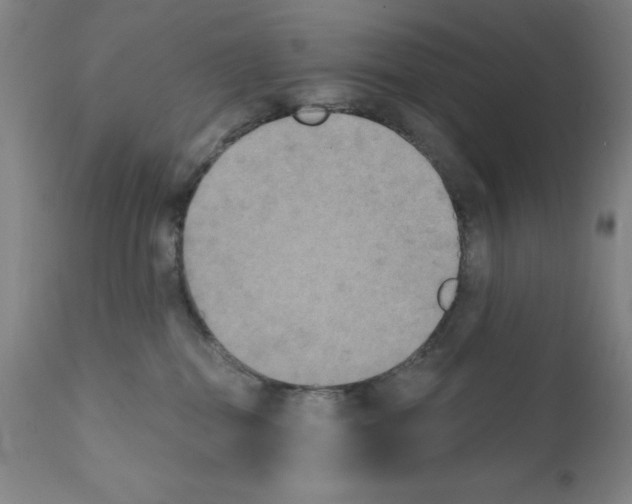 X0000111480282200908251009