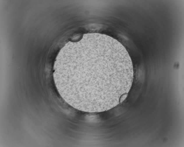 X0000111480283200908251009