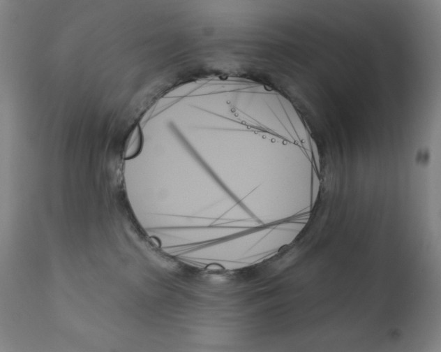 X0000111480285200908251009