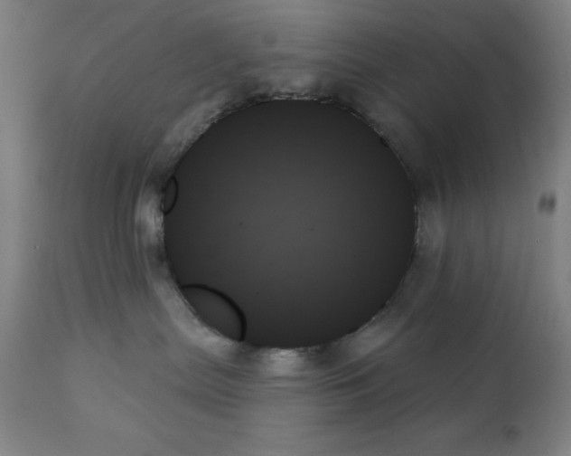 X0000111480287200908251009
