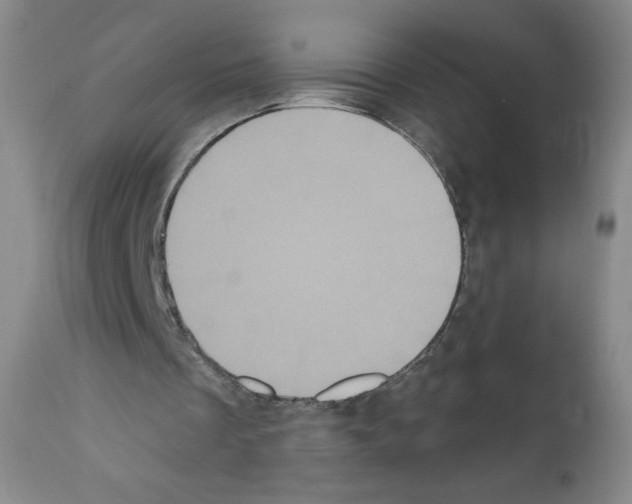 X0000111480289200908251008