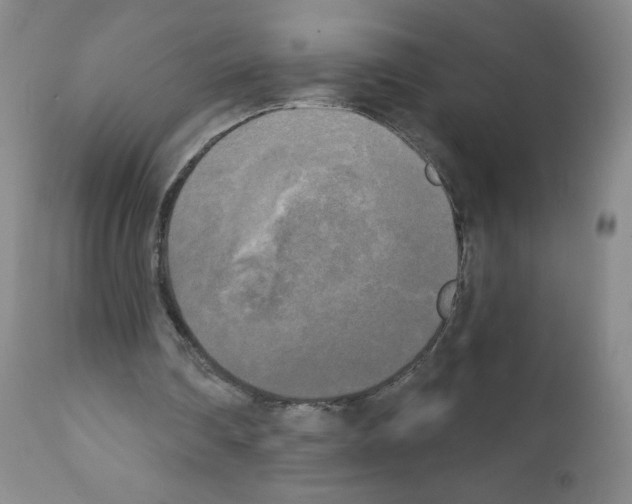 X0000111480290200908251008