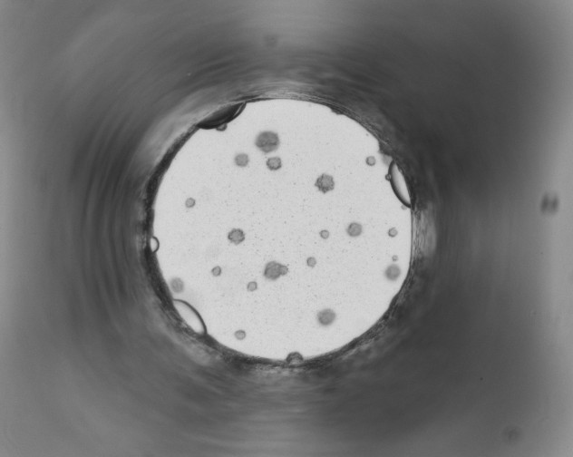 X0000111480291200908251008