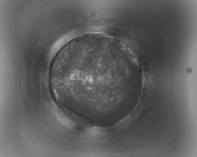 X0000111480293200908251008