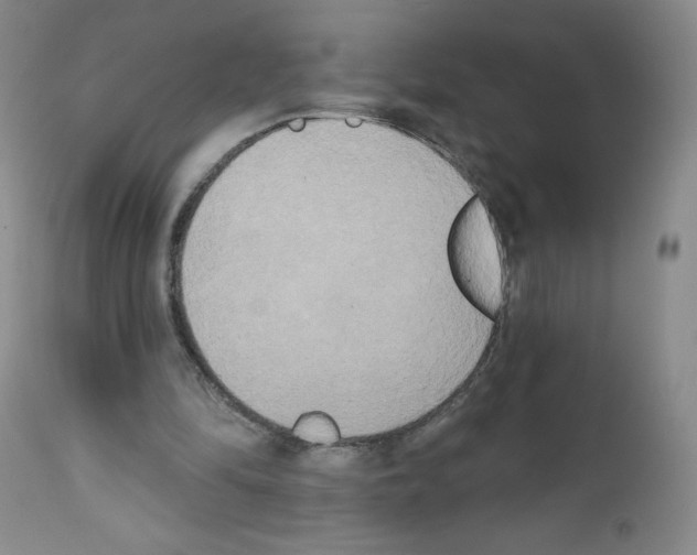 X0000111480294200908251008