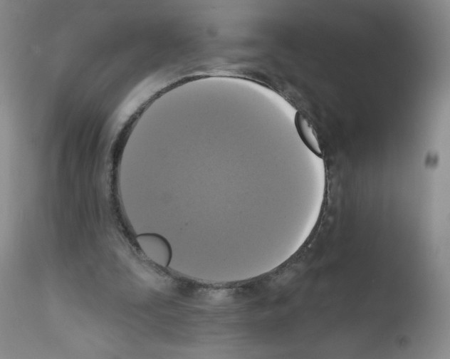 X0000111480295200908251008