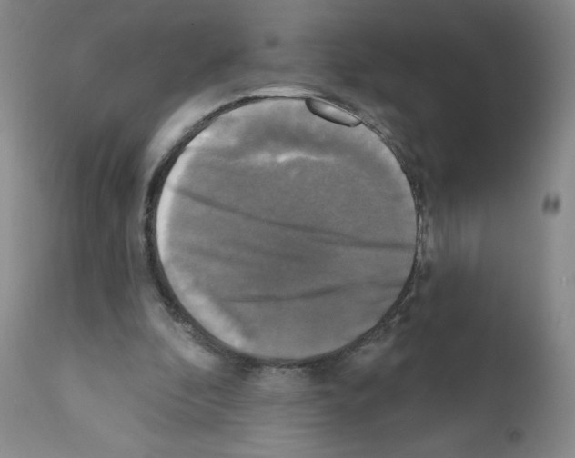 X0000111480296200908251008