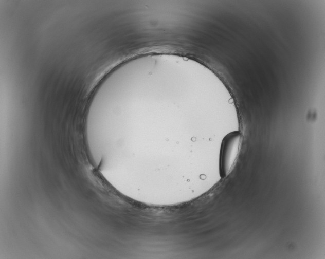 X0000111480297200908251008