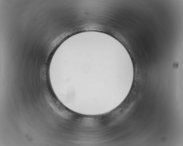 X0000111480298200908251008