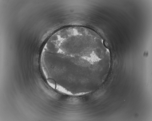 X0000111480299200908251008