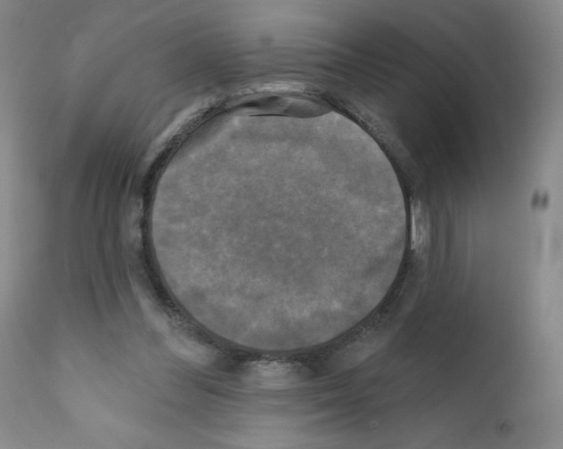 X0000111480300200908251008