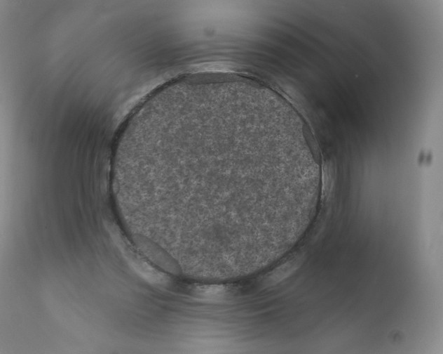 X0000111480301200908251008