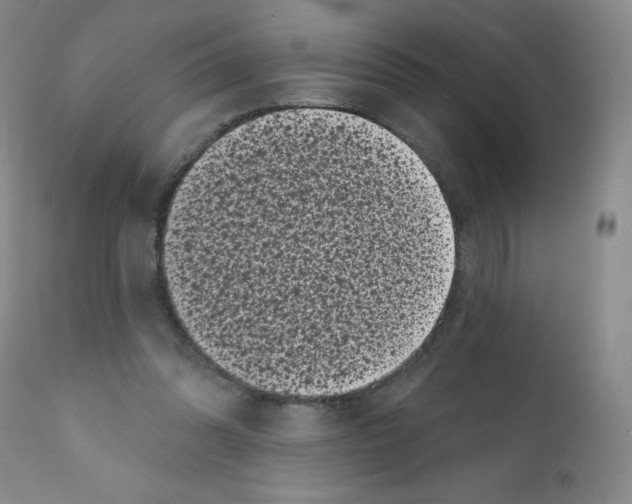 X0000111480302200908251008