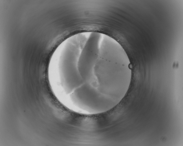 X0000111480303200908251008
