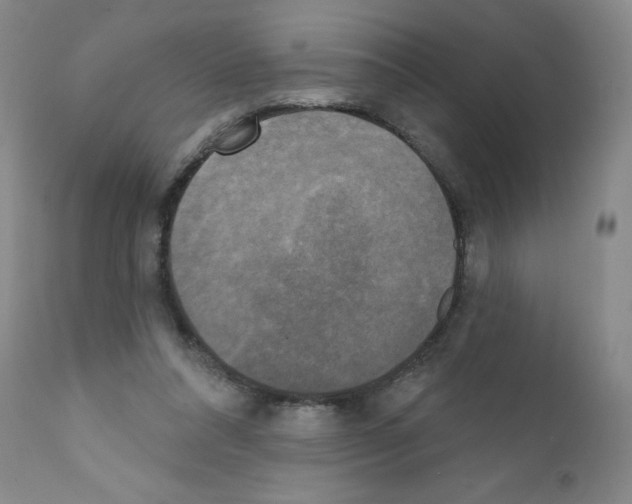 X0000111480304200908251008