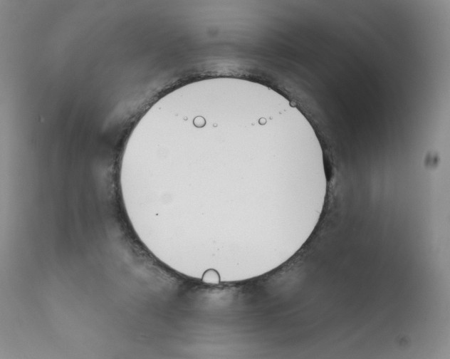 X0000111480306200908251008