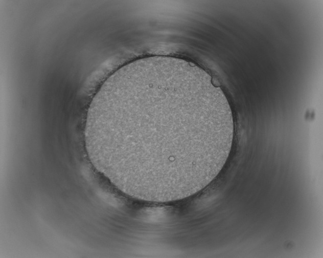 X0000111480307200908251008