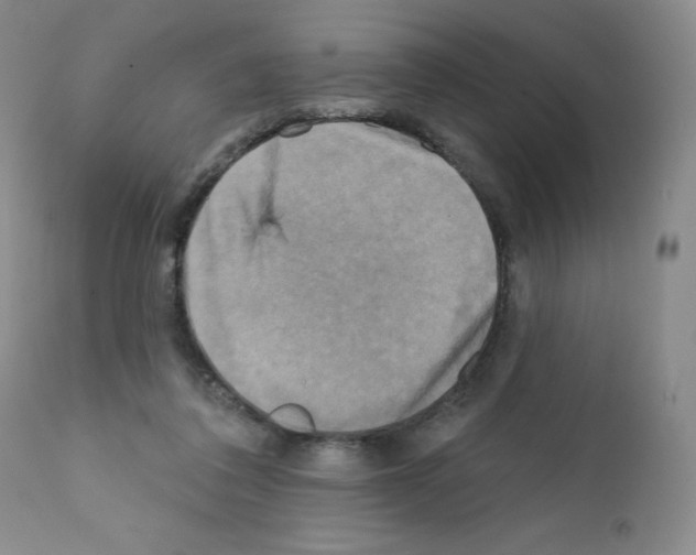 X0000111480308200908251008