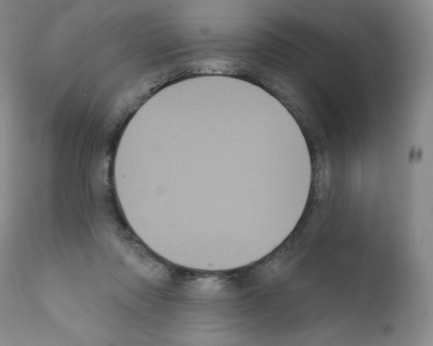 X0000111480310200908251008