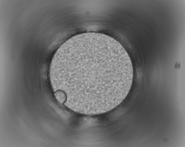 X0000111480311200908251008