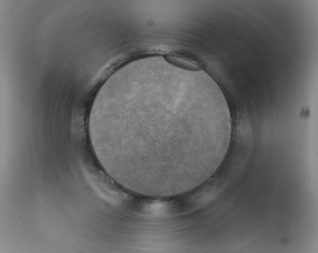 X0000111480312200908251008