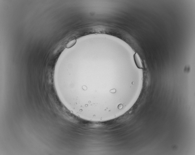 X0000111480313200908251008