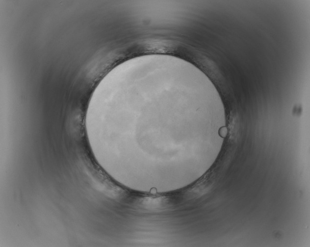 X0000111480314200908251008