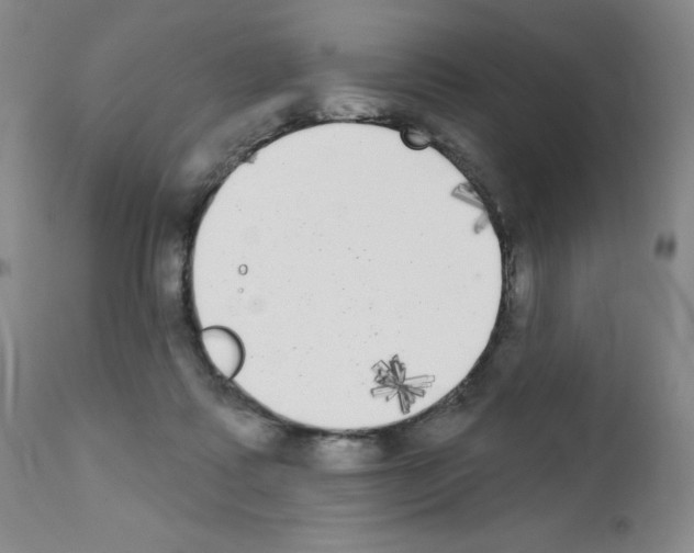 X0000111480315200908251008