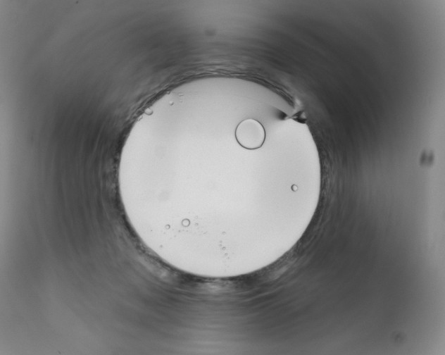 X0000111480317200908251008