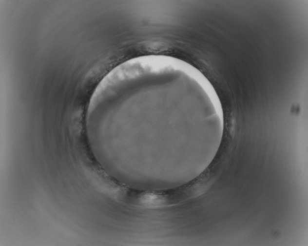 X0000111480319200908251008